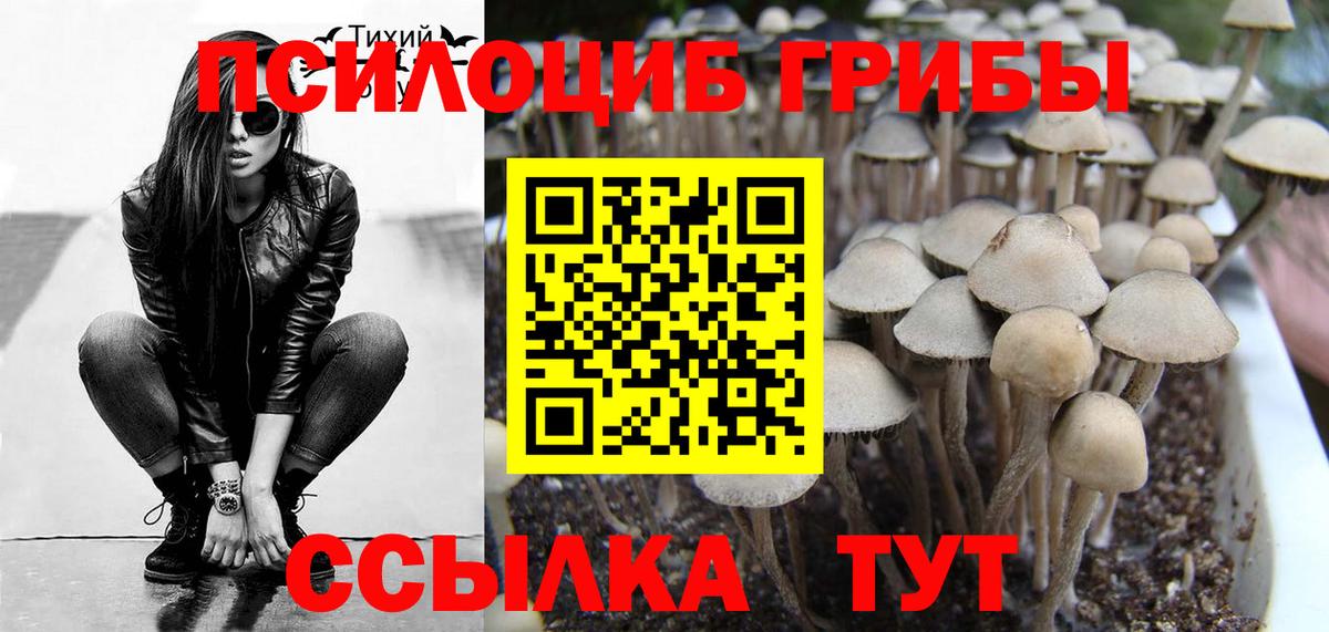 Галлюциногенные грибы ЛСД  Псилоцибиновые грибы Psilocybe  Северск  Вход с VPN 